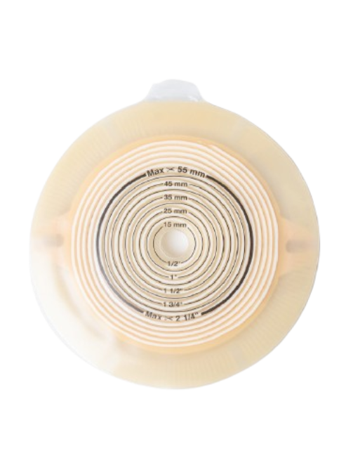 1-AlternaFlatBaseplate-Longwear-removebg-preview