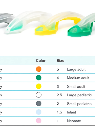 WhatsApp Image 2026-02-02 at 5.06.17 PM-artguru