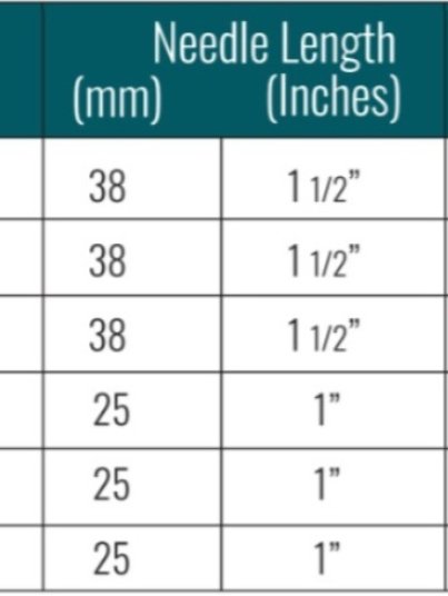 WhatsApp Image 2026-02-05 at 11.55.00 AM