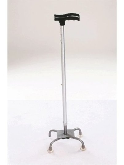 WhatsApp Image 2026-02-17 at 5.40.41 PM (1)